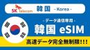 韓国無制限